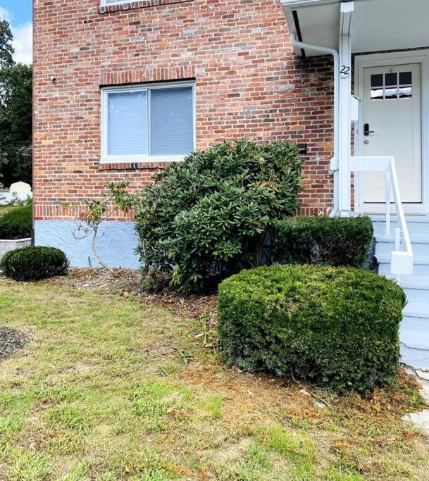Cozy Boston Getaway Apartment! Free Parking Экстерьер фото